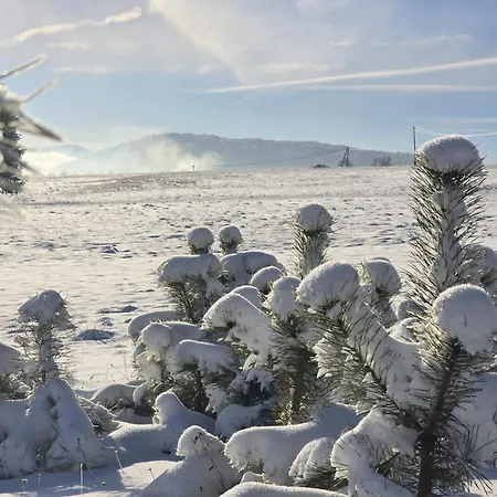 Semesterbostad Na Czerwonej Gorce