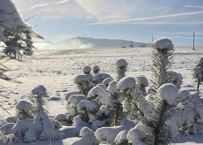 Feriehus Na Czerwonej Gorce